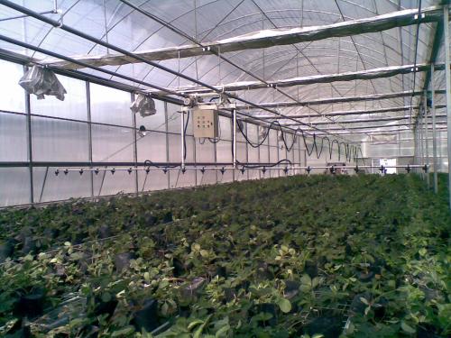 無土栽培，無土栽培技術，無土栽培設備