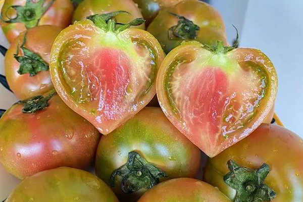 無土栽培，無土栽培技術，無土栽培設備