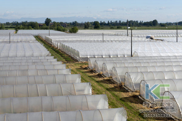 無土栽培，無土栽培技術，無土栽培設備
