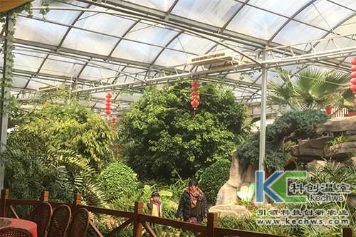 無(wú)土栽培，無(wú)土栽培技術(shù)，無(wú)土栽培設(shè)備