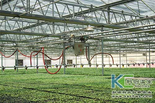 無土栽培，無土栽培技術(shù)，無土栽培設(shè)備