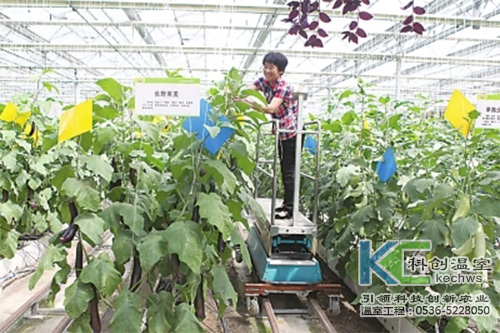 無土栽培，無土栽培技術，無土栽培設備