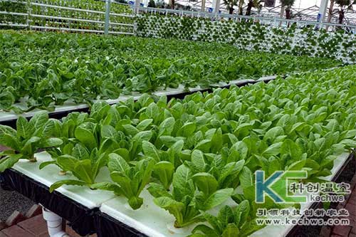 無土栽培，無土栽培技術，無土栽培設備