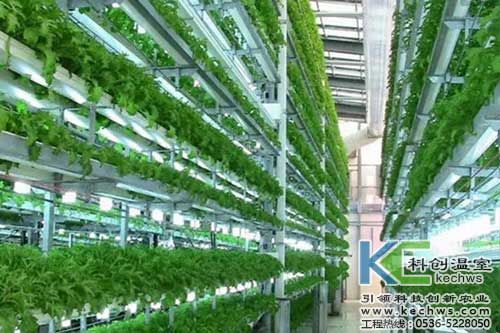 無土栽培，無土栽培技術(shù)，無土栽培設(shè)備