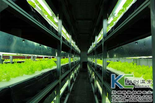 無土栽培，無土栽培技術，無土栽培設備