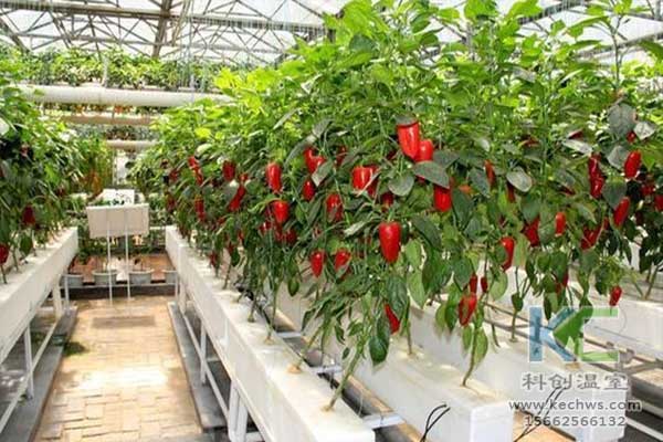 無(wú)土栽培，無(wú)土栽培技術(shù)