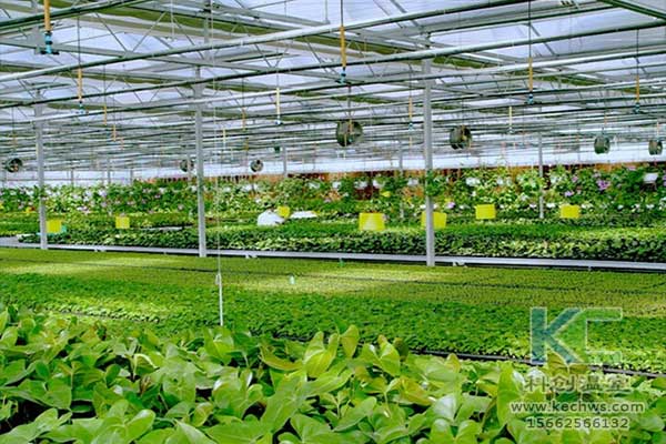 無土栽培，無土栽培技術(shù)