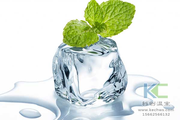 無土栽培，無土栽培技術，無土栽培設備