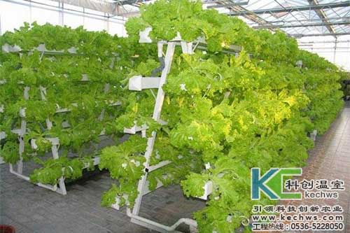 無土栽培，無土栽培技術，無土栽培設備