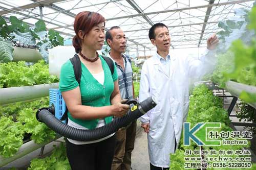 無土栽培，無土栽培技術(shù)，無土栽培設備