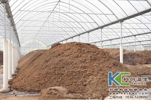 無土栽培，無土栽培技術，無土栽培基質