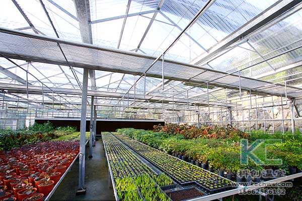 無土栽培，無土栽培技術，無土栽培設備