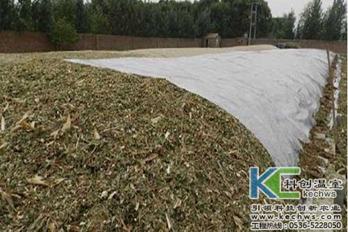 無土栽培，無土栽培技術，無土栽培設備