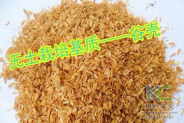 無土栽培，無土栽培技術，無土栽培設備