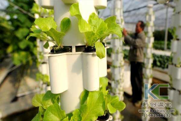 無(wú)土栽培，無(wú)土栽培技術(shù)，無(wú)土栽培設(shè)備