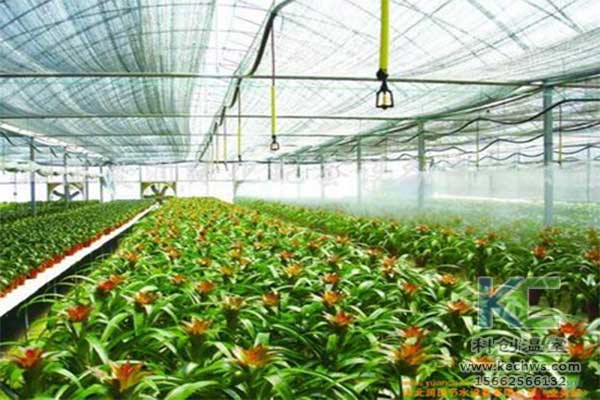 無土栽培，無土栽培技術(shù)，無土栽培設(shè)備