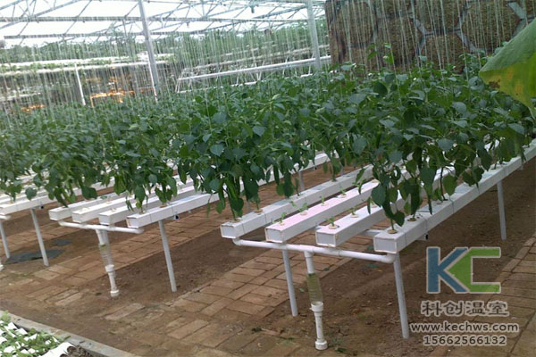 無土栽培，無土栽培技術，無土栽培設備