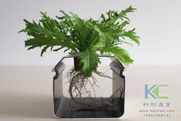 智能溫室無土栽培，無土栽培技術(shù)，溫室大棚，無土栽培