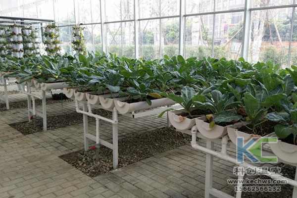無土栽培，無土栽培技術，無土栽培設備