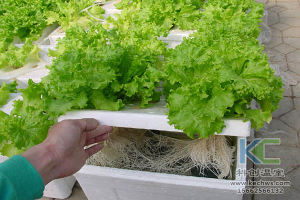 無土栽培技術(shù)，無土栽培設(shè)備，營養(yǎng)液，溫室大棚