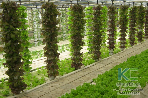 蔬菜大棚無(wú)土栽培，無(wú)土栽培技術(shù)，溫室大棚，大棚