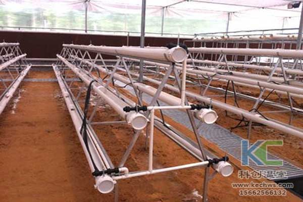 無土栽培技術，無土栽培設備，無土栽培，溫室大棚