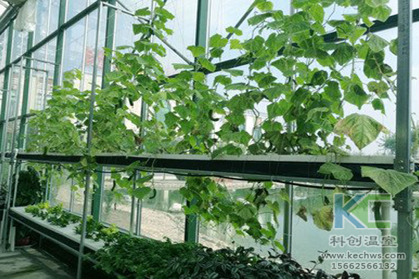 無土栽培蔬菜，無土栽培技術(shù)，無土栽培設(shè)備，溫室大棚