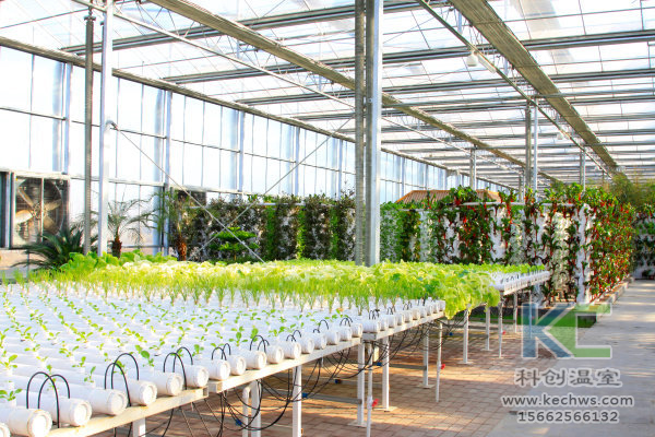 無土栽培，無土栽培技術，無土栽培設備，溫室大棚