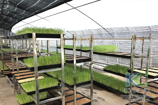 無土栽培，無土栽培技術，無土栽培設備