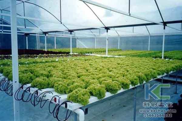 無(wú)土栽培技術(shù)，無(wú)土栽培設(shè)備，無(wú)土栽培，溫室大棚