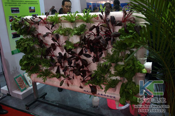 蔬菜大棚無(wú)土栽培，無(wú)土栽培技術(shù)，溫室大棚，大棚