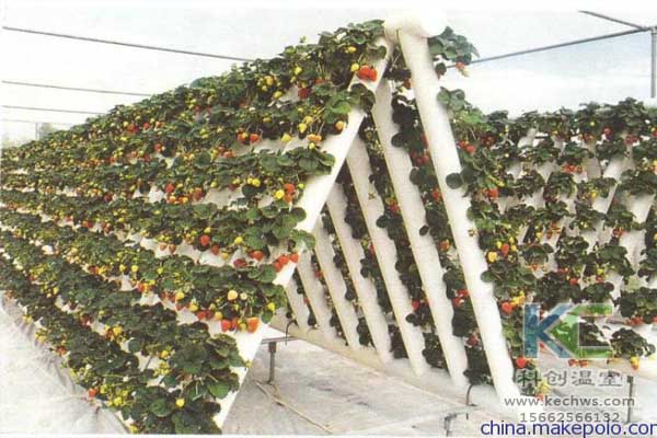 無(wú)土栽培，設(shè)備，無(wú)土栽培設(shè)備，無(wú)土栽培技術(shù)