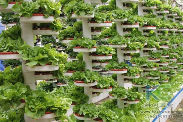 無土栽培技術，無土栽培設備，無土栽培，溫室大棚