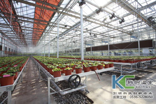 無土栽培,無土栽培技術(shù),市場(chǎng)定位