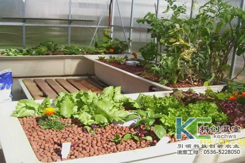 無(wú)土栽培，無(wú)土栽培技術(shù)，無(wú)土栽培設(shè)備