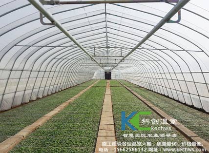 無(wú)土栽培，無(wú)土栽培技術(shù)，無(wú)土栽培設(shè)備