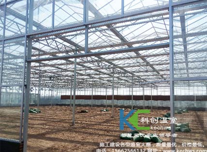 無土栽培，無土栽培技術，無土栽培設備