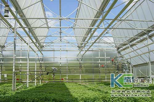 無土栽培，無土栽培技術(shù)，無土栽培設(shè)備