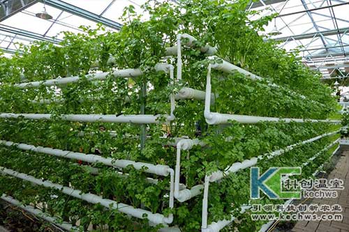 無土栽培，無土栽培技術，無土栽培設備
