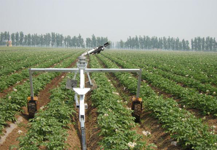 無土栽培，無土栽培技術，無土栽培設備