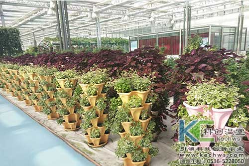 無(wú)土栽培，無(wú)土栽培技術(shù)，無(wú)土栽培設(shè)備