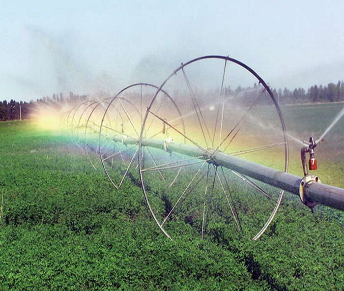 無土栽培，無土栽培技術，無土栽培設備