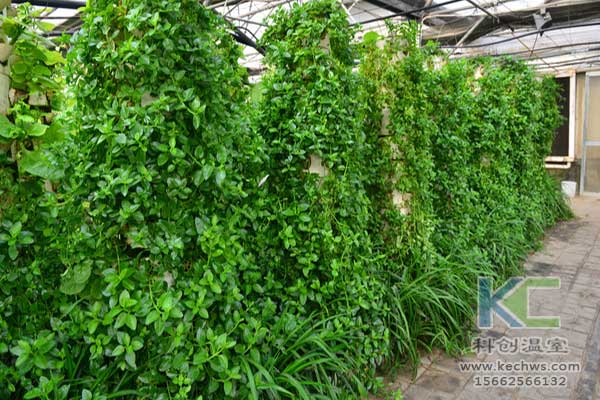 無土栽培，無土栽培技術，無土栽培設備