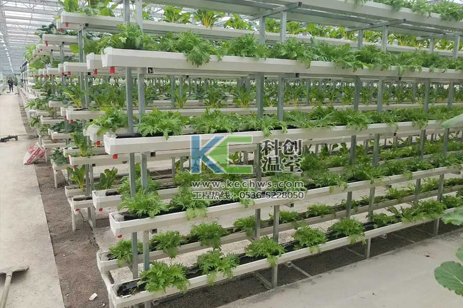 無土栽培，無土栽培技術(shù)，無土栽培設(shè)備