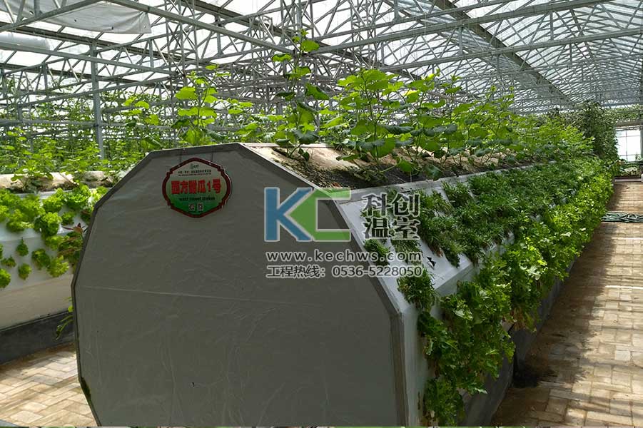 無(wú)土栽培，無(wú)土栽培技術(shù)，無(wú)土栽培設(shè)備