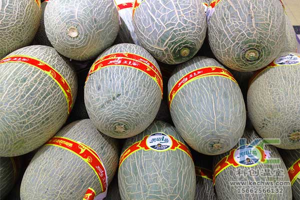 無土栽培，無土栽培技術(shù)，無土栽培設備