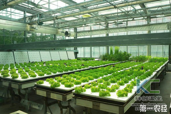 無(wú)土栽培,無(wú)土栽培技術(shù),無(wú)土栽培設(shè)備