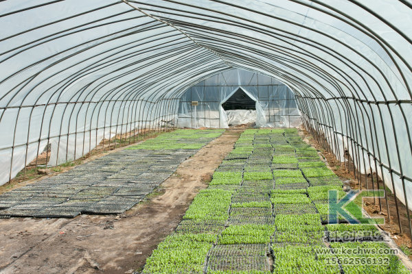 無土栽培，無土栽培技術(shù)，無土栽培設(shè)備