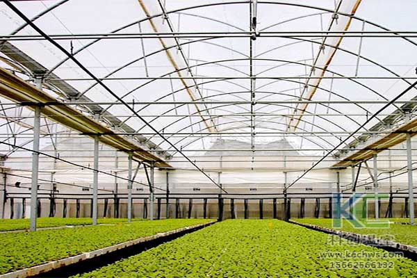 無土栽培，無土栽培技術，無土栽培設備
