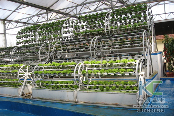 無土栽培，無土栽培技術，無土栽培設備，溫室大棚